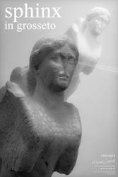 SPHINX IN GROSSETO: Roman Marble Statue III. MP4