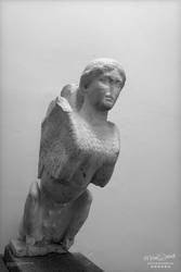 SPHINX IN GROSSETO: Roman Marble Statue I. Ph