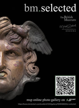BM.SELECTED : MSP Online Photo Gallery