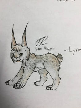 Coloured Lynx project I made in class!