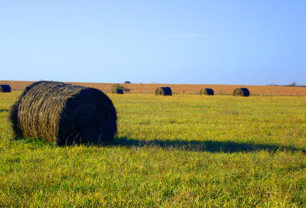 Haystack by miamores on DeviantArt