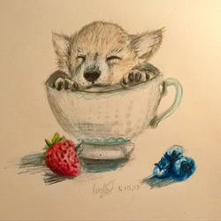 wolf in a teacup