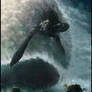 Sea Rising