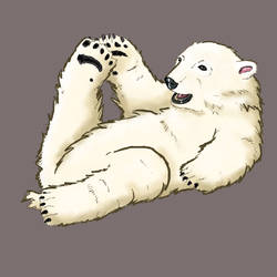 Knut - The small Icebear