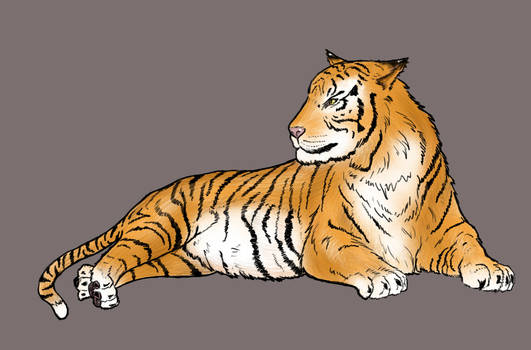 The Tiger