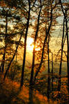Magic of Autumn 4 by EgoAniAnqueetus