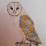 Barn owl