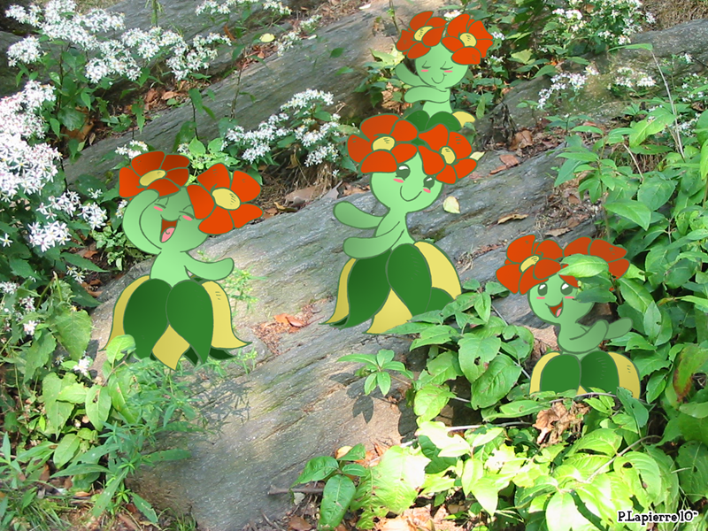 Pokemon in Nature 02.