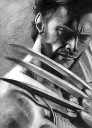 Wolverine