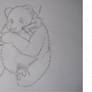 Giant Panda Sketch to Vector