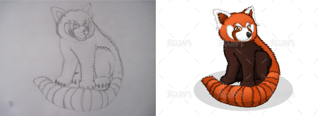 Red Panda Sketch to Vector