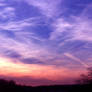 Lavendar Sunset