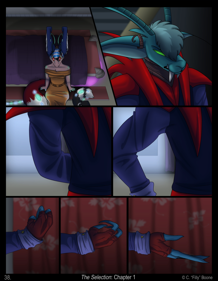 The Selection - page 38