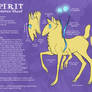 Spirit Reference Sheet