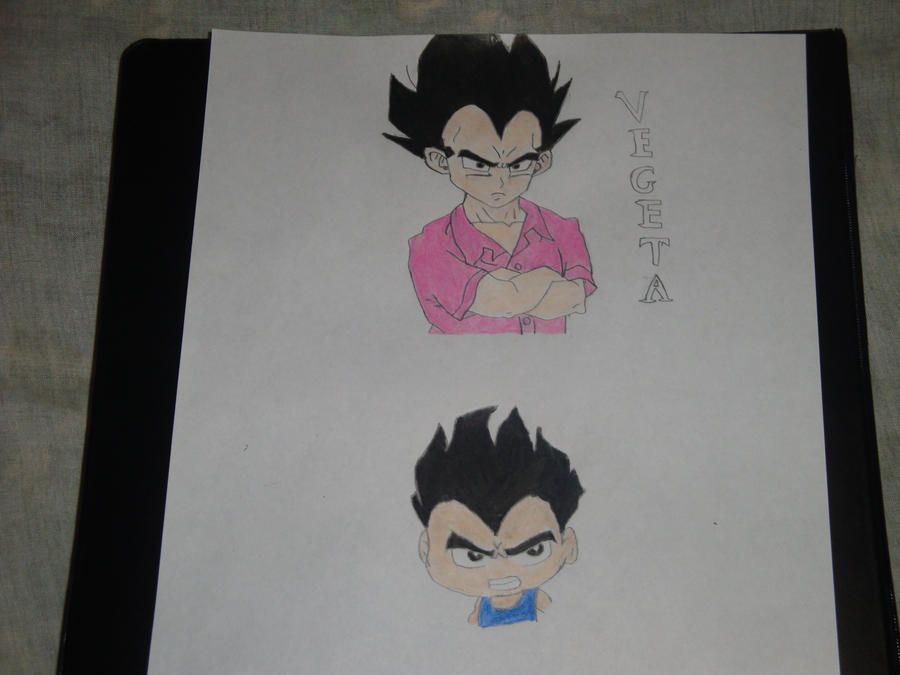 Vegeta pink shirt by spiralmaestro on DeviantArt