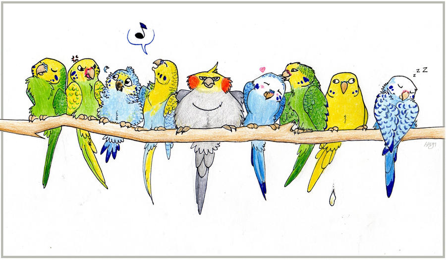 Budgies by KestrelRaptor