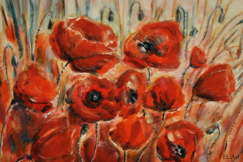 Poppies