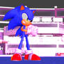 Sonic VS Mario