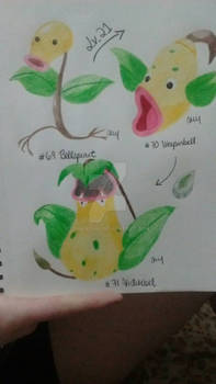 Bellsprout and evolutions