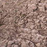 Rock texture 01