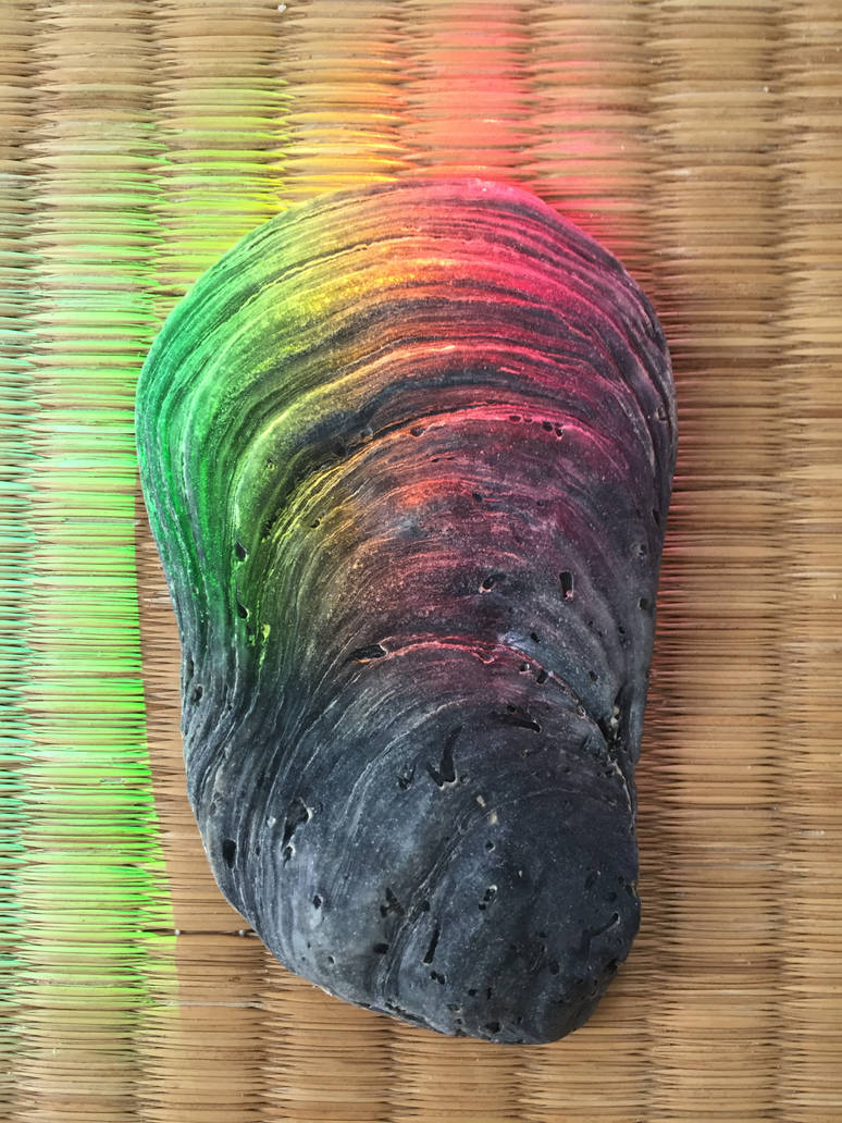 Solitaire Rainbow Shell Shells in Rainbow Light (7) by derwahrehorst on DeviantArt