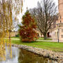 Schwerin Castle, Trees of the Love Island (20)