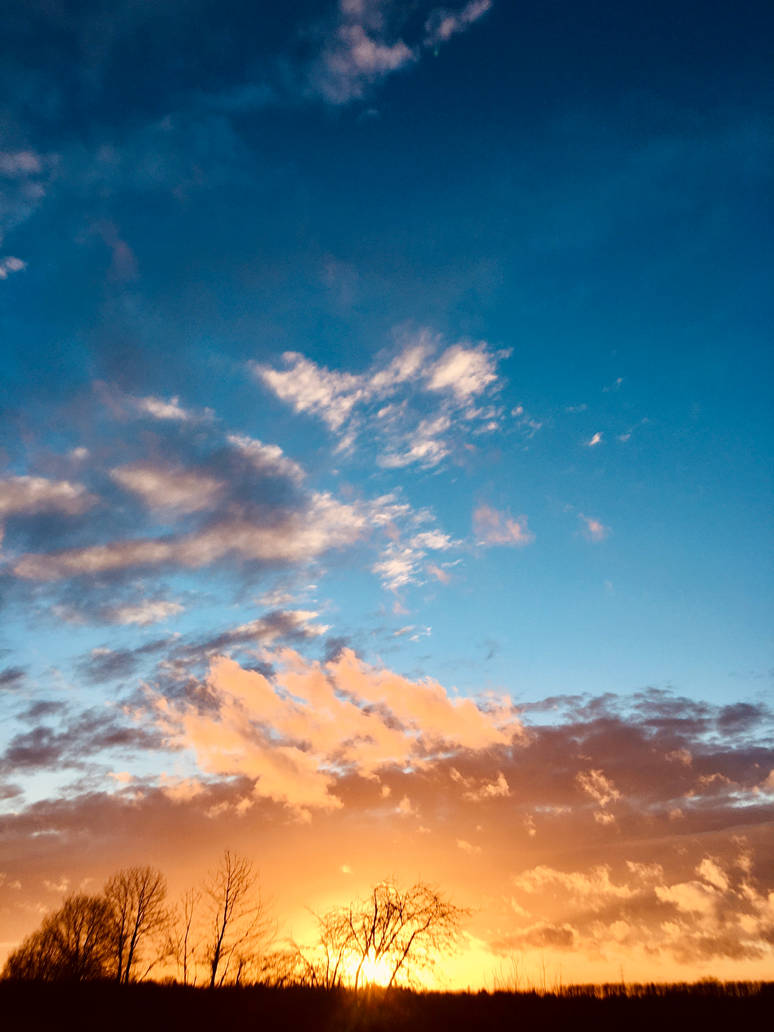 Last Sunset Feb 2025, in the Wittlaer Meadows (11) by derwahrehorst on