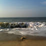 Beach Feeling 3583 Simply Waves, Simply Blue Sky