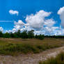 Lueneburg Heath, Clouds and Trees Panorama (1)  20