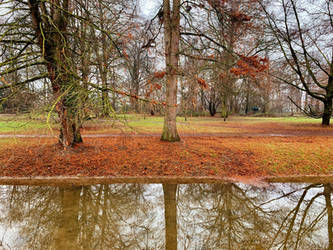 Winter Trees  2021 (10), January Kalkum Castle