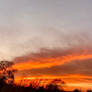 Autumn Sunset 2021-11-12 (1) Pano