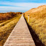 Always straight ahead, between the Dunes