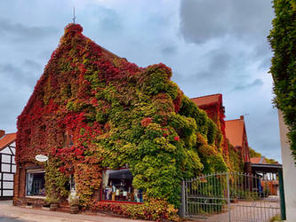 Verden, Lower Saxony (12) more Photos of Old Town  by derwahrehorst