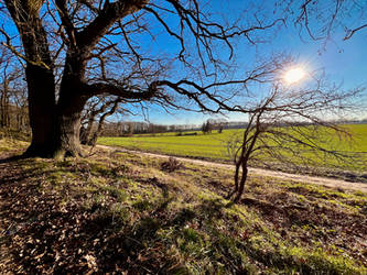 Heidberg 2024-01-10, on a sunny Winter Day (2)