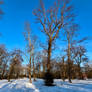 2024, Kalkum Castle Park in the Snow (2)