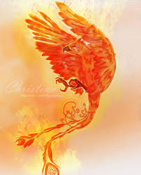 Phoenix by Chirstina