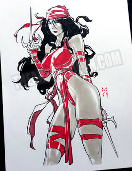 ELEKTRA