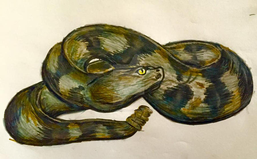 Timber Rattler Characters Timber Rattlesnake by mulesaregreat77 on DeviantArt