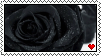 +Black rose stamp+ by Shadowa-93