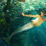 A Merman