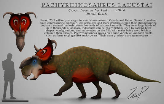 Pachyrhinosaurus lakustai