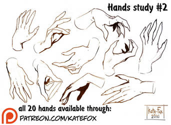 Hands study 2