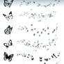 Butterfly Brushes 1