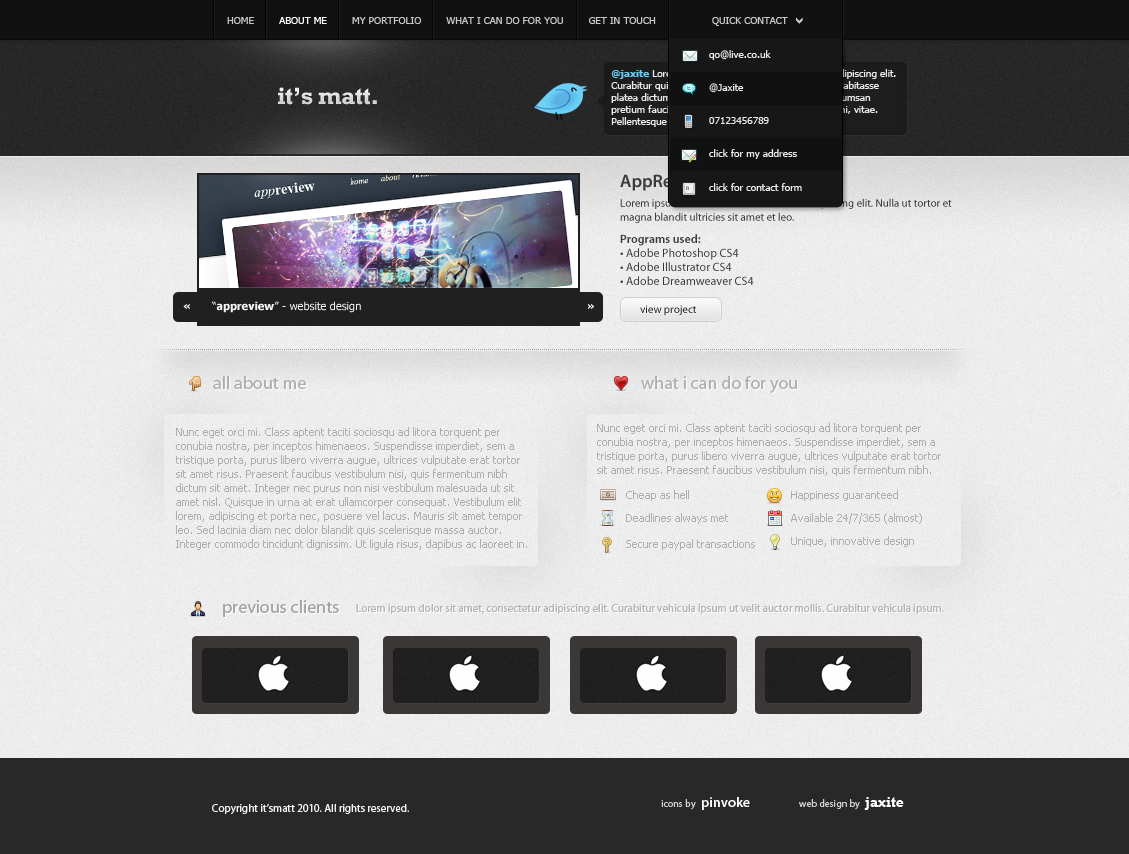 Pro web 2.0 portfolio template