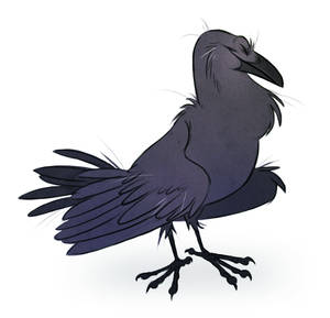 Consider the ravens