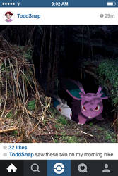 Nidoran Burrow