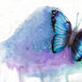 Blue Butterfly