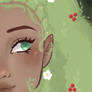 Close up commissions (OPEN)