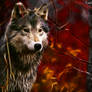 Fractal wolf