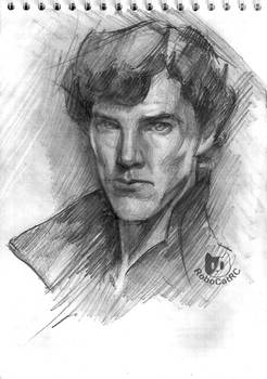 Sherlock Holmes-Benedict Cumberbatch ( portrait )